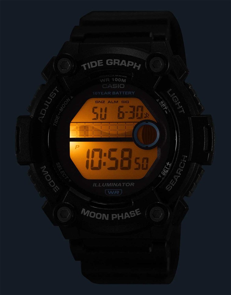 Часы Часы Casio WS-1300H-8A в Москве в Москве