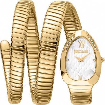 Часы Часы Just Cavalli JC1L223M0035 в Москве в Москве