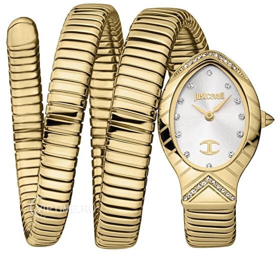 Часы Часы Just Cavalli JC1L248M0025 в Москве в Москве
