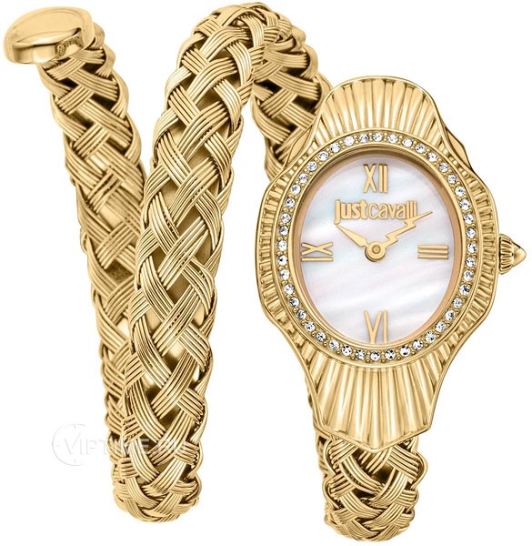 Часы Часы Just Cavalli JC1L305M0025 в Москве в Москве