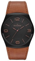 Часы Часы Skagen SKW6040 в Москве в Москве