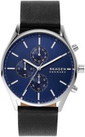 Часы Часы Skagen SKW6606 в Москве в Москве