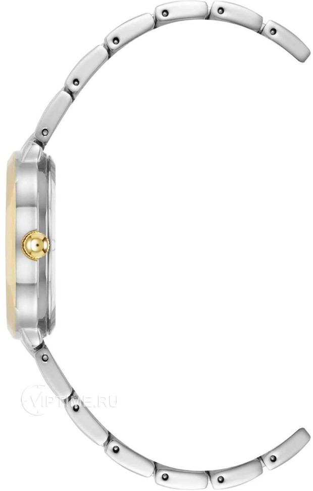Часы Часы Anne Klein 5021SVTT в Москве в Москве