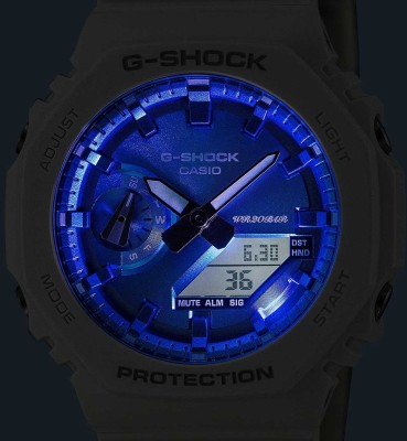 Casio GA-2100WS-7A