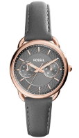 Часы Часы Fossil ES3913 в Москве в Москве