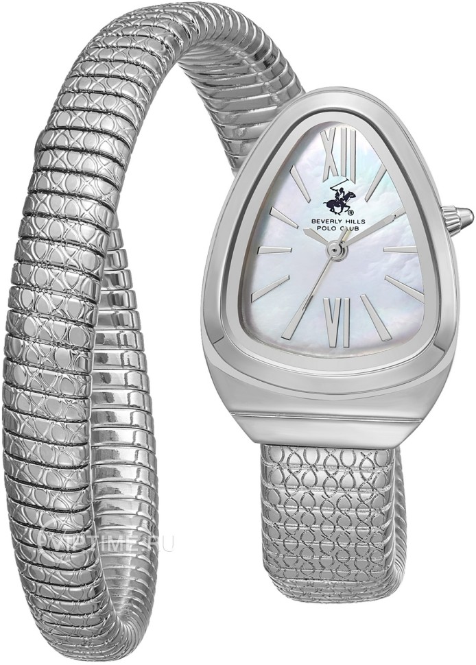 Часы Часы Beverly Hills Polo Club BP3747C.320 в Москве в Москве