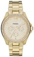 Часы Часы Fossil AM4482 в Москве в Москве